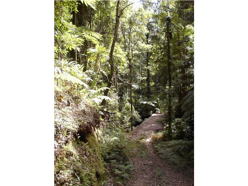1411 Kalang Road, Bellingen NSW 2454