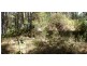1411 Kalang Road, Bellingen NSW 2454