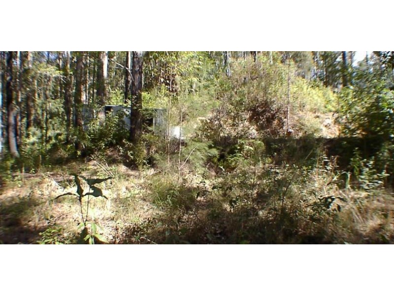 1411 Kalang Road, Bellingen NSW 2454
