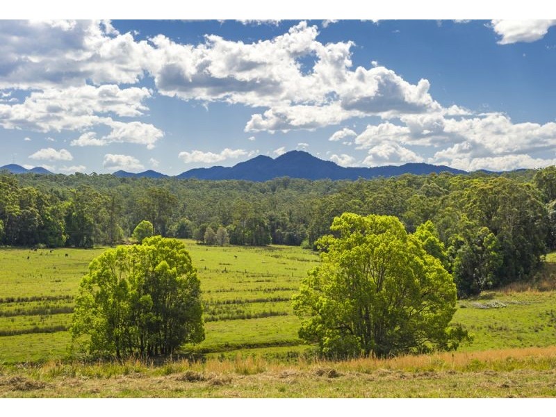310 Valery Road, Bellingen NSW 2454
