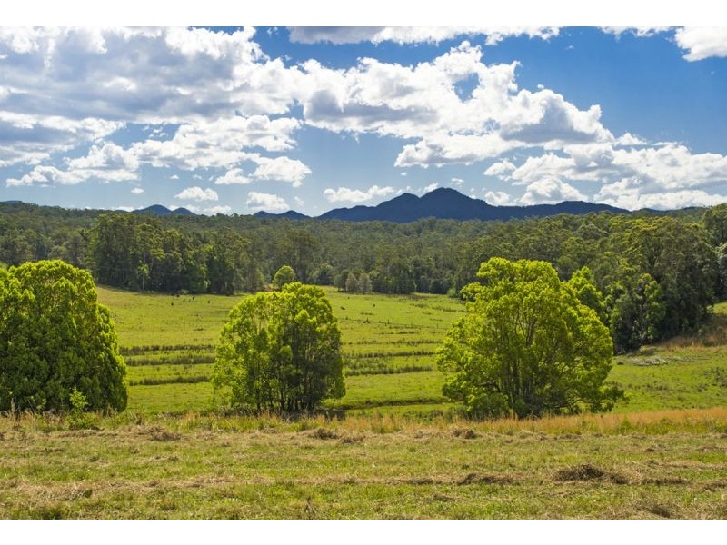 310 Valery Road, Bellingen NSW 2454