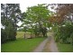 1328 Waterfall Way, Bellingen NSW 2454