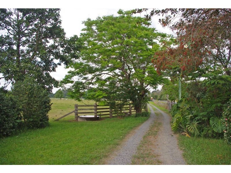 1328 Waterfall Way, Bellingen NSW 2454