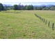 1328 Waterfall Way, Bellingen NSW 2454