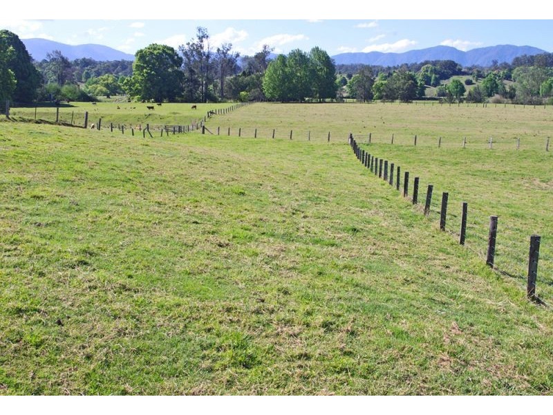 1328 Waterfall Way, Bellingen NSW 2454