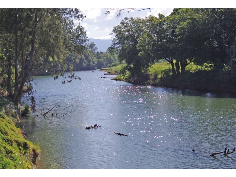 1328 Waterfall Way, Bellingen NSW 2454