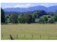 1328 Waterfall Way, Bellingen NSW 2454