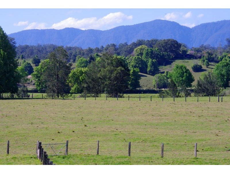 1328 Waterfall Way, Bellingen NSW 2454