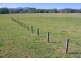 1328 Waterfall Way, Bellingen NSW 2454