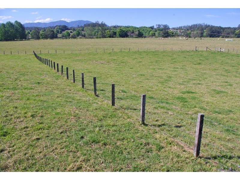 1328 Waterfall Way, Bellingen NSW 2454