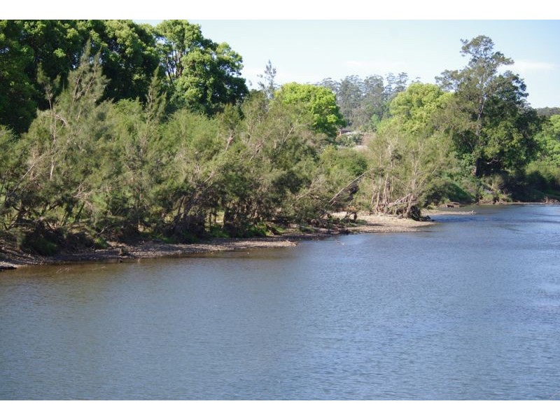 1328 Waterfall Way, Bellingen NSW 2454