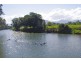 1328 Waterfall Way, Bellingen NSW 2454