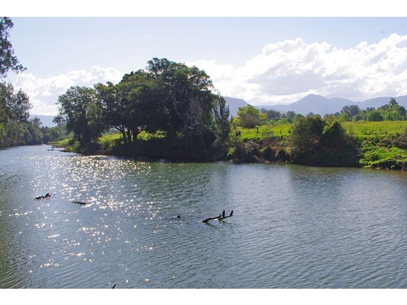 1328 Waterfall Way, Bellingen NSW 2454