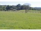 1328 Waterfall Way, Bellingen NSW 2454