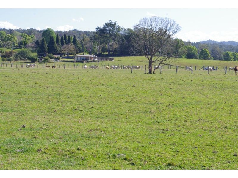 1328 Waterfall Way, Bellingen NSW 2454