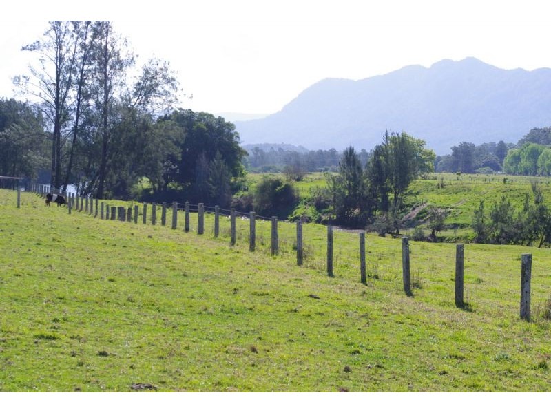 1328 Waterfall Way, Bellingen NSW 2454