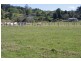 1328 Waterfall Way, Bellingen NSW 2454