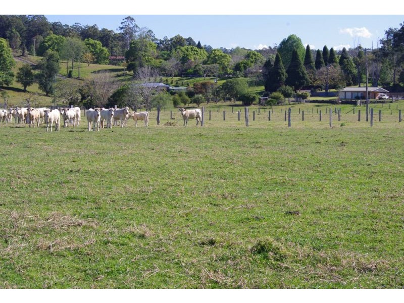 1328 Waterfall Way, Bellingen NSW 2454