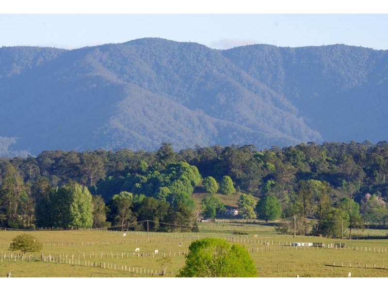 1328 Waterfall Way, Bellingen NSW 2454