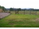 1328 Waterfall Way, Bellingen NSW 2454