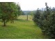 1328 Waterfall Way, Bellingen NSW 2454