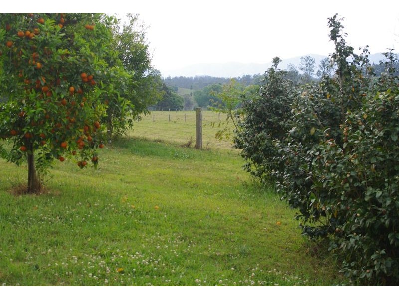 1328 Waterfall Way, Bellingen NSW 2454