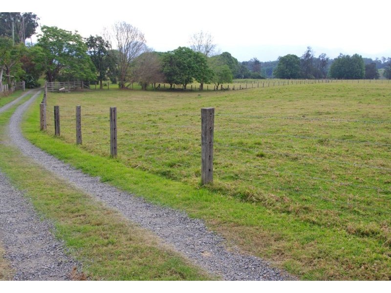 1328 Waterfall Way, Bellingen NSW 2454