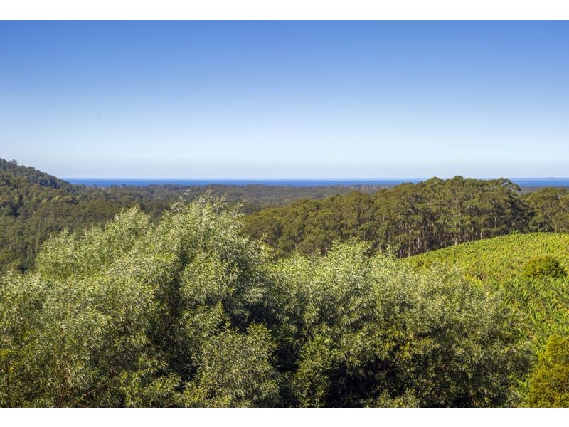 221e Cassidys Road, Bonville NSW 2441