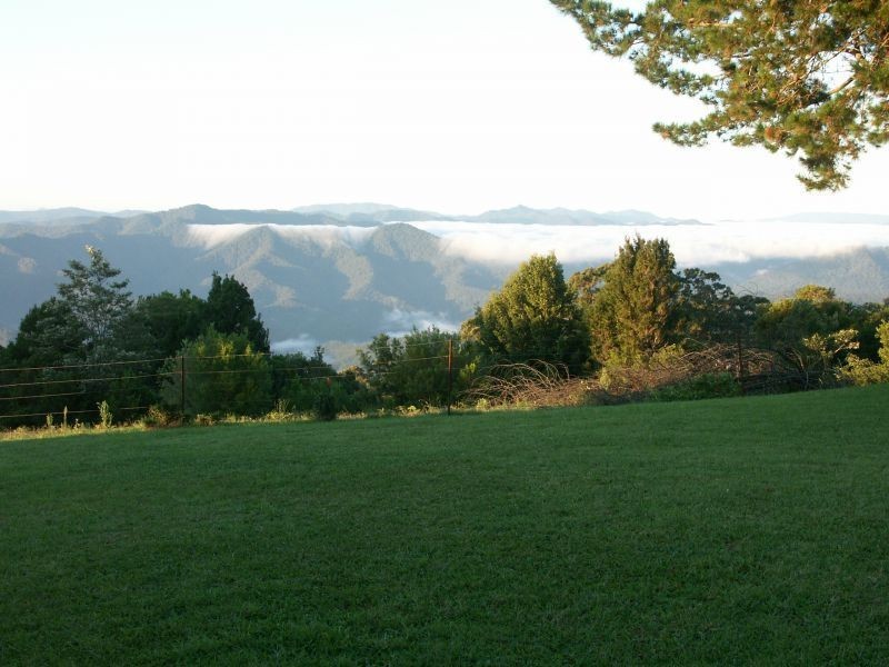 75 Hickory Street, Dorrigo NSW 2453