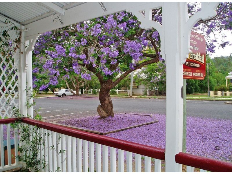 7 & 9 William Street, Bellingen NSW 2454