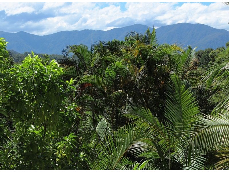 2 Evans Street, Bellingen NSW 2454