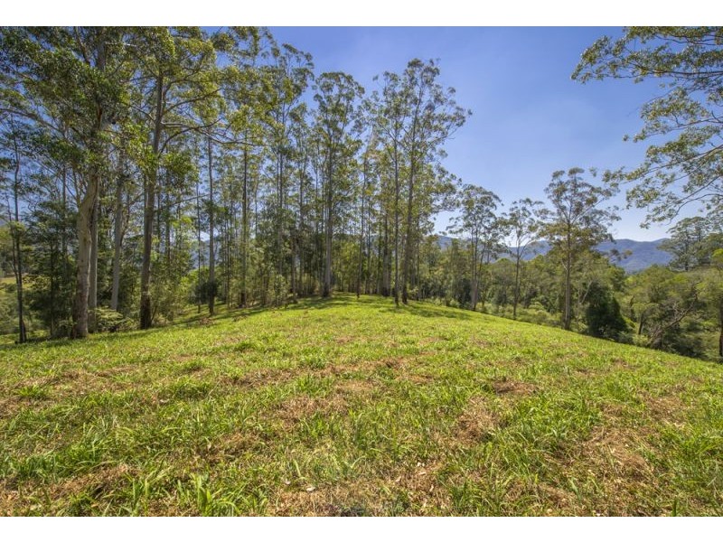 21/22, 605 Roses Road, Bellingen NSW 2454