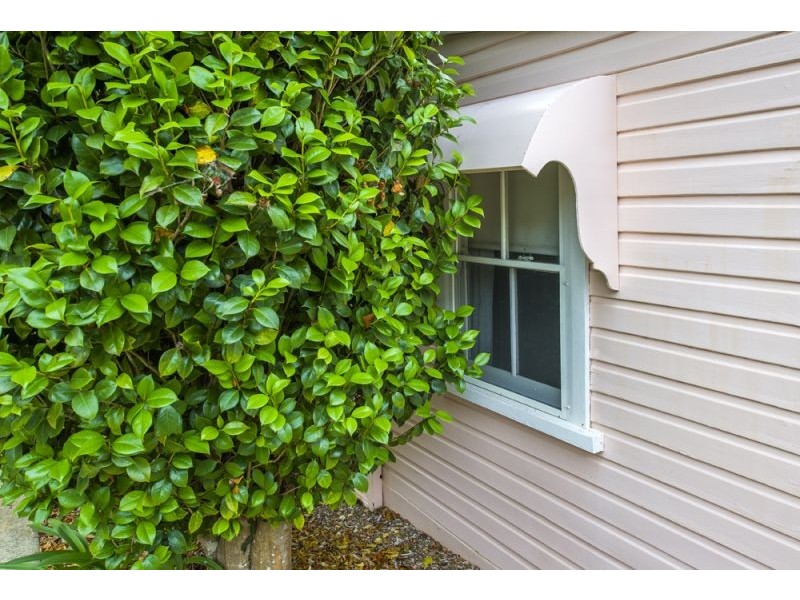 6 Park Street, Bellingen NSW 2454