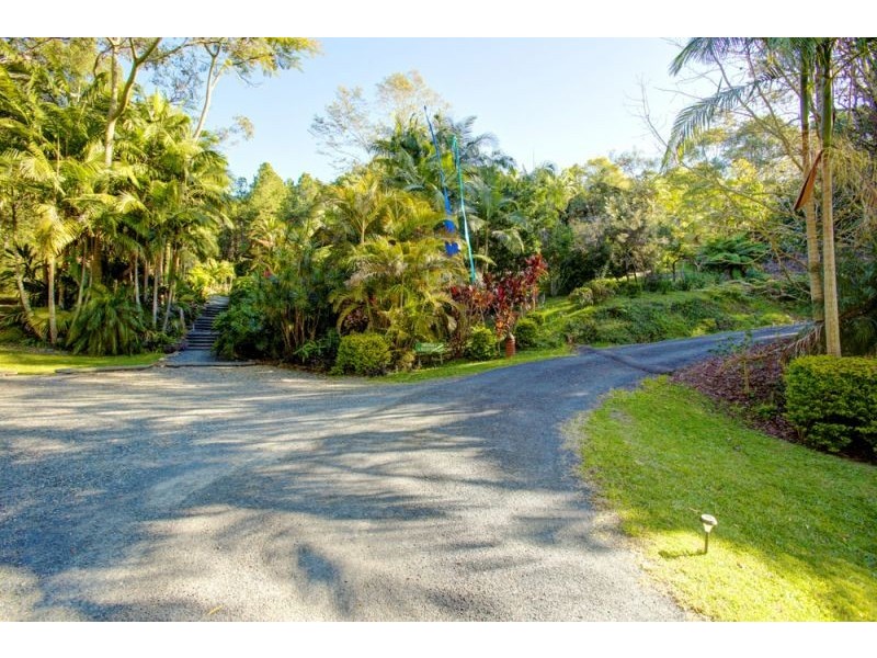 Bellingen NSW 2454
