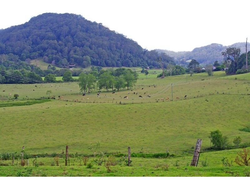 219a South Island Loop Rd, Upper Orara, Coffs Harbour NSW 2450