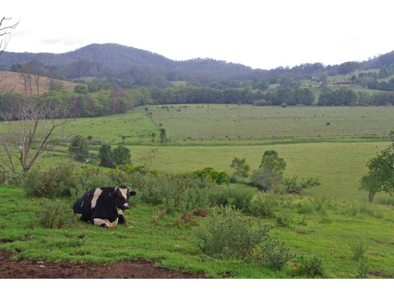 219a South Island Loop Rd, Upper Orara, Coffs Harbour NSW 2450