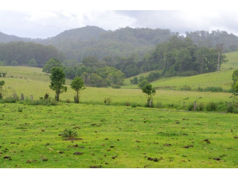 219a South Island Loop Rd, Upper Orara, Coffs Harbour NSW 2450