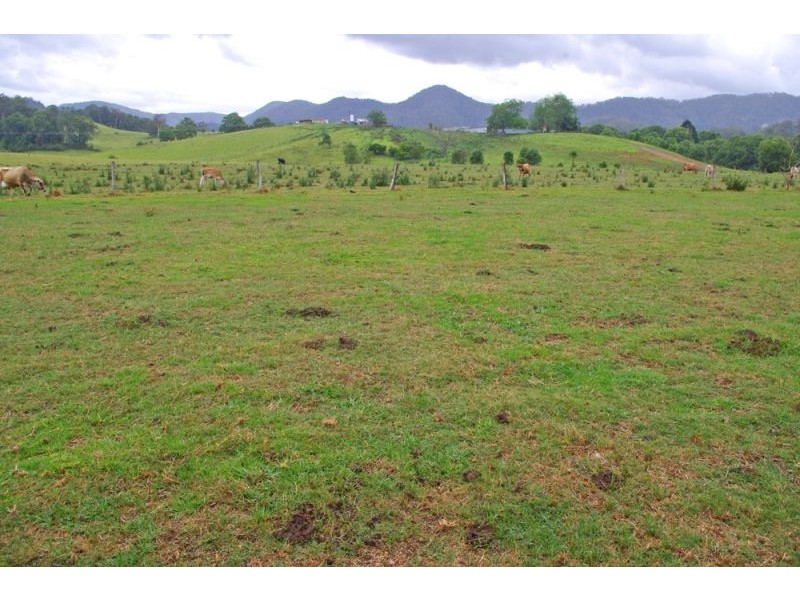 219a South Island Loop Rd, Upper Orara, Coffs Harbour NSW 2450