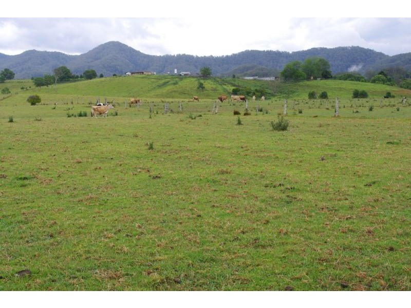 219a South Island Loop Rd, Upper Orara, Coffs Harbour NSW 2450