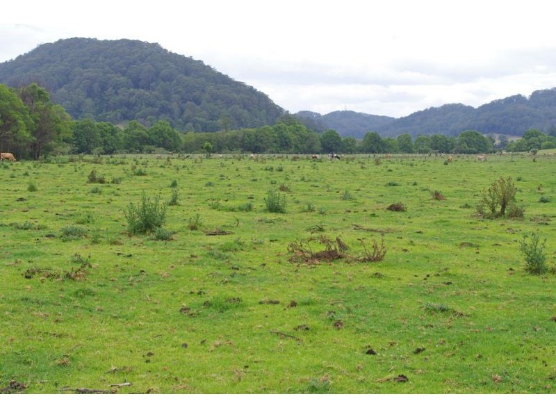 219a South Island Loop Rd, Upper Orara, Coffs Harbour NSW 2450