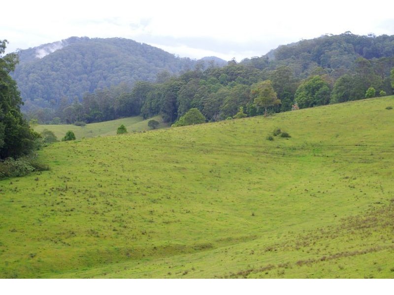 219a South Island Loop Rd, Upper Orara, Coffs Harbour NSW 2450