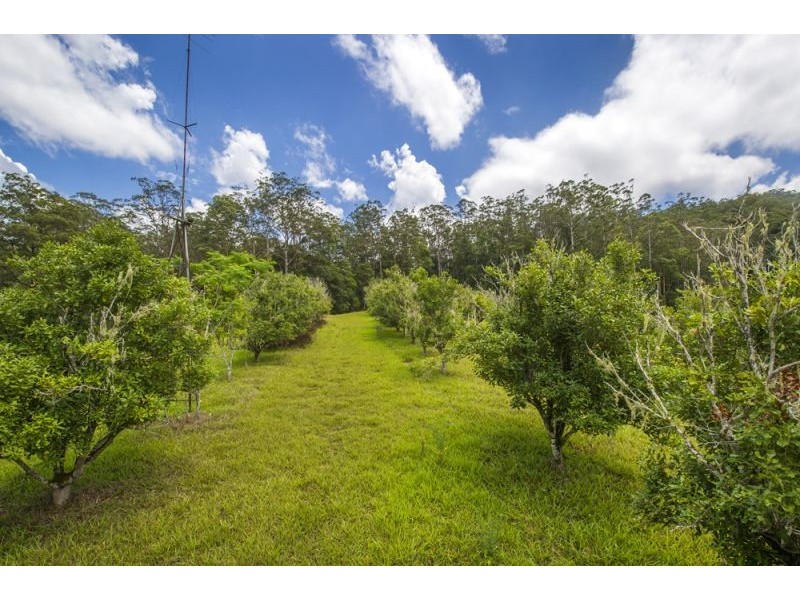 2196 Darkwood Road, Thora, Bellingen NSW 2454