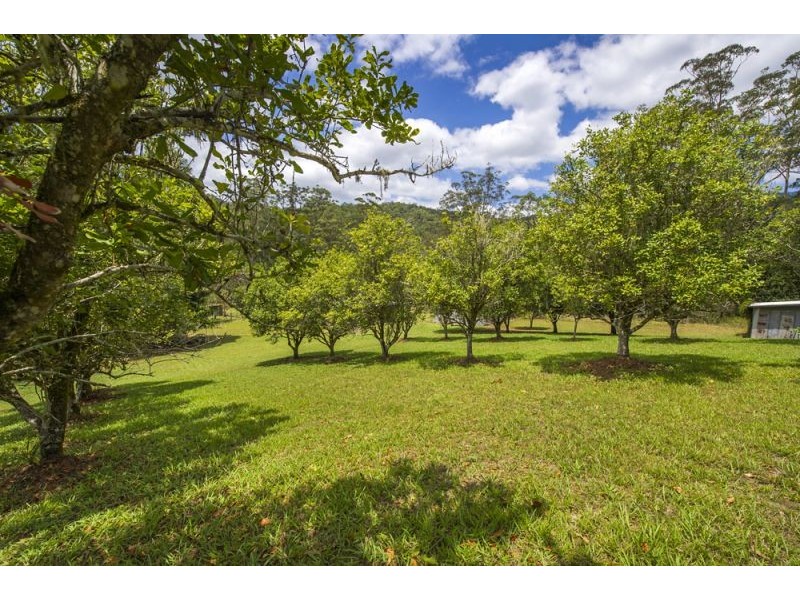 2196 Darkwood Road, Thora, Bellingen NSW 2454