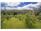 2196 Darkwood Road, Thora, Bellingen NSW 2454