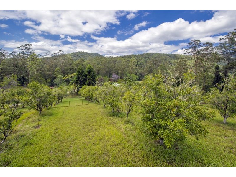 2196 Darkwood Road, Thora, Bellingen NSW 2454