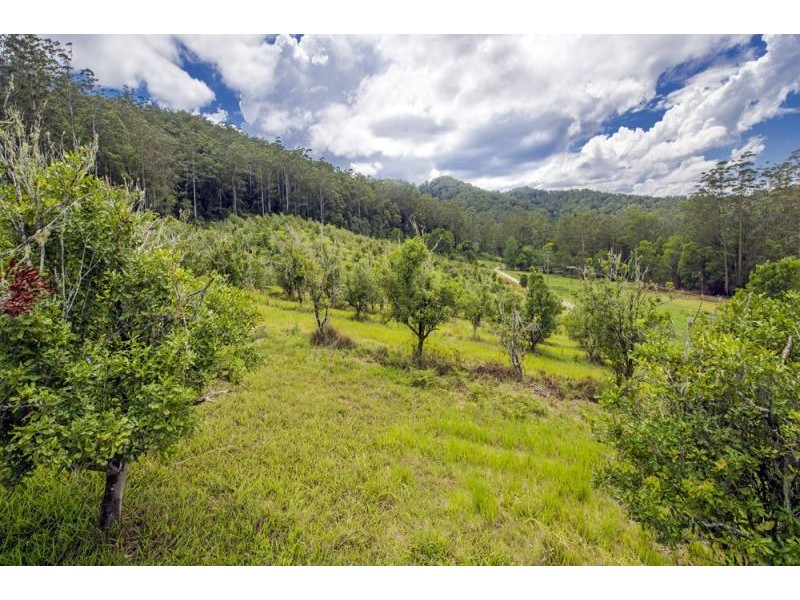 2196 Darkwood Road, Thora, Bellingen NSW 2454