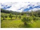 2196 Darkwood Road, Thora, Bellingen NSW 2454