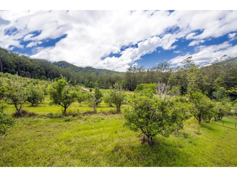 2196 Darkwood Road, Thora, Bellingen NSW 2454
