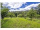 2196 Darkwood Road, Thora, Bellingen NSW 2454