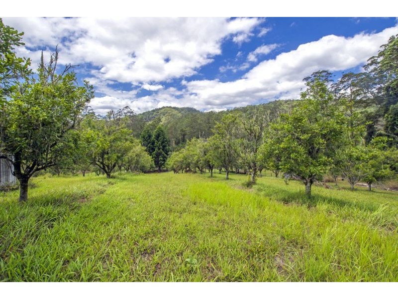 2196 Darkwood Road, Thora, Bellingen NSW 2454
